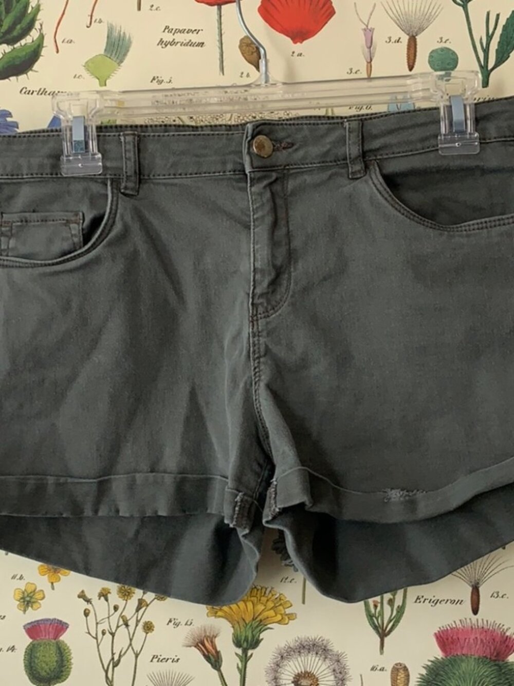 💕 3/$25 💕H&M Cuffed Gray Shorts Size 4